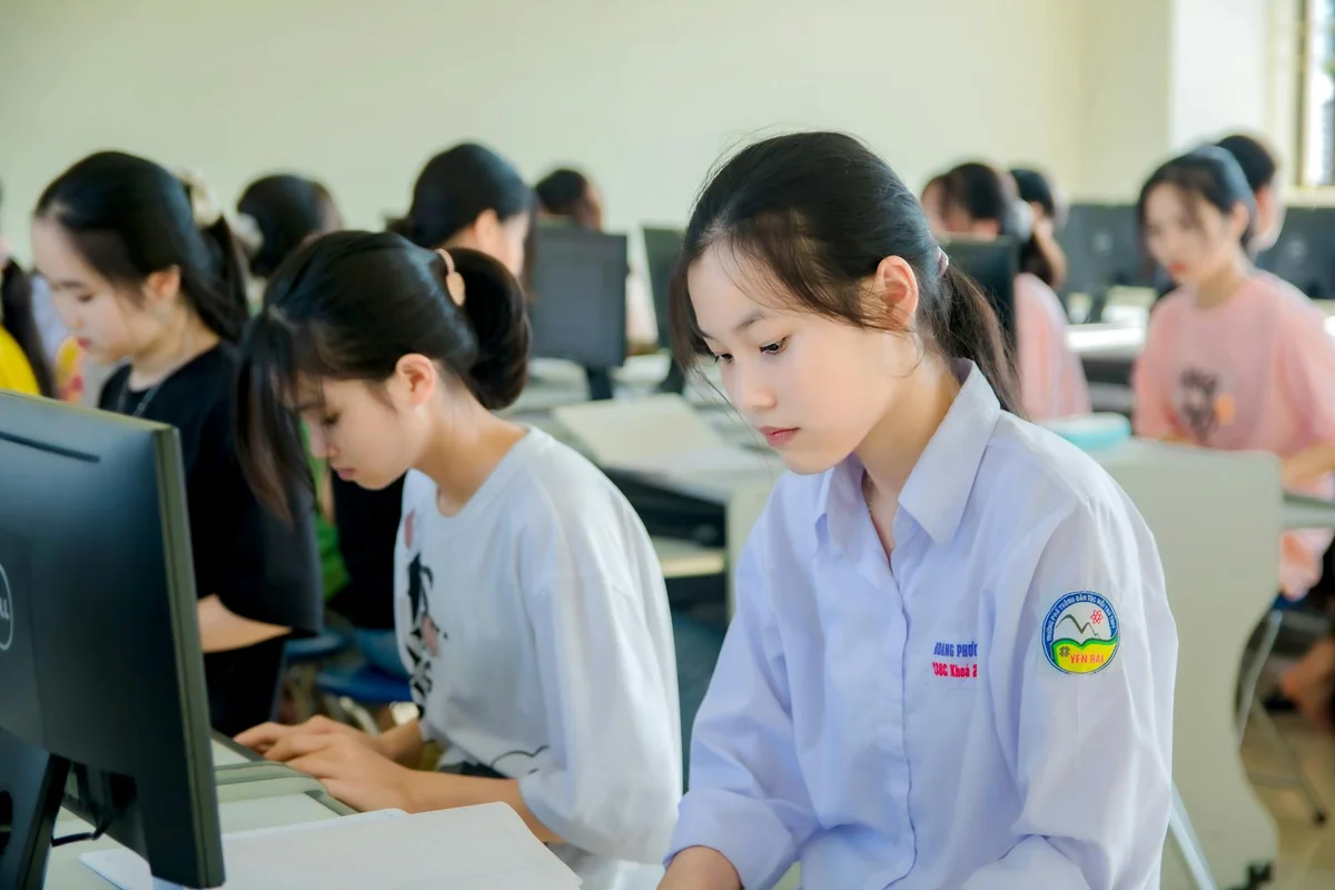 频道目录按题材分区排列的页面示意